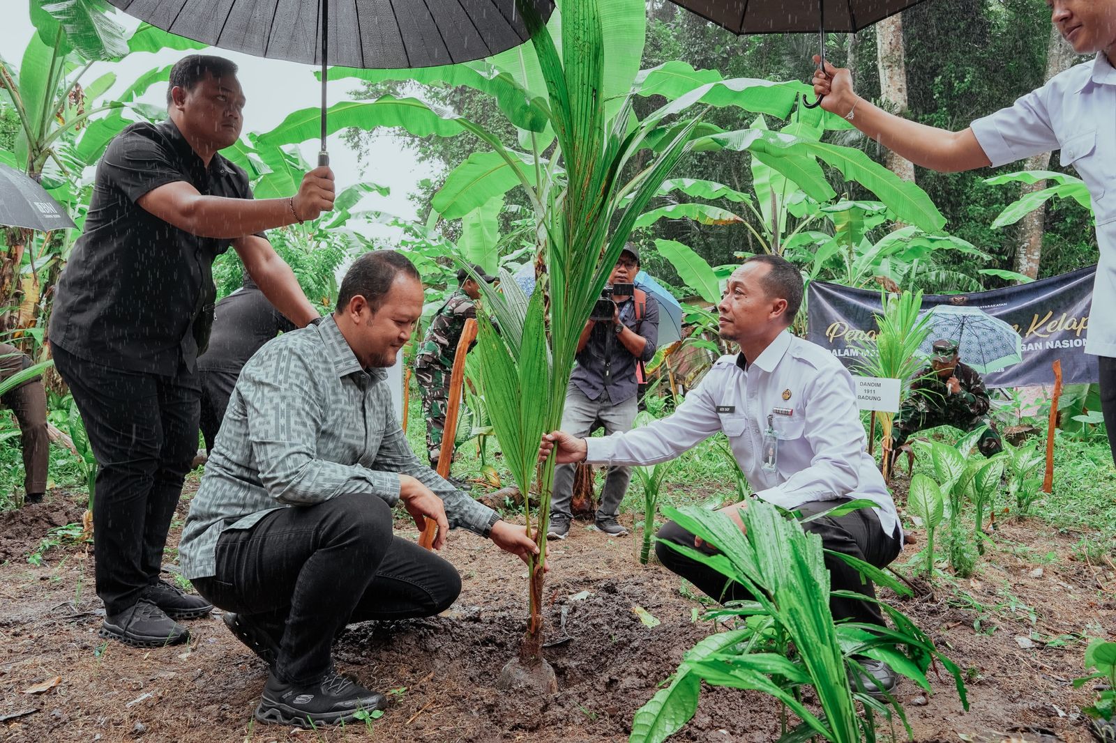 podiumnews.com-Wabup Sebut Pohon Kelapa Sangat Berguna Bagi Masyarakat Badung